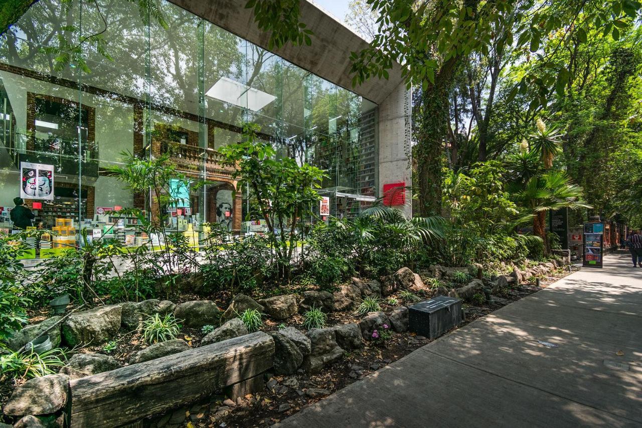 멕시코 시 Fl 59 Coyoacan At Your Doorstep! 아파트 외부 사진